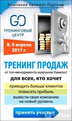 Тренинг Продаж