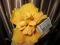 Гибискус желтый махровый. Фото 1.