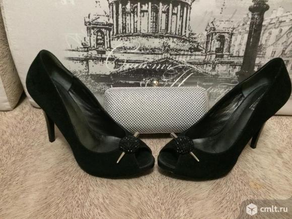 Әйелдердің сперматозоидтары