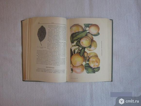 В. Труды мичурина. Мичурин сочинения в 4 томах 1948. Мичурин 1948. Гюго в.