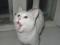 Белый молодой кот Ларсик. Фото 2.