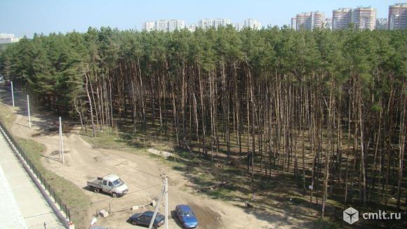 2-комнатная квартира 54 кв.м. Фото 7.