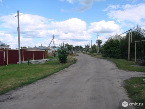Погода в новоживотинном рамонского на 10