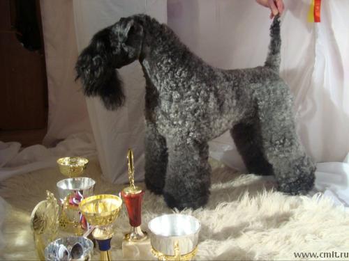 Мать: Аве Купидон Ерофея