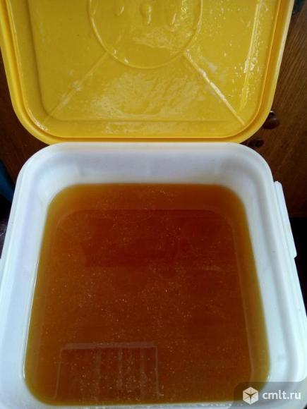 Мёд  разнотравье. Фото 1.
