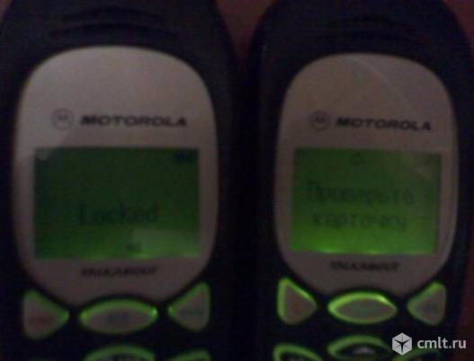 Телефон Motorola talkbout T 2288. Фото 1.