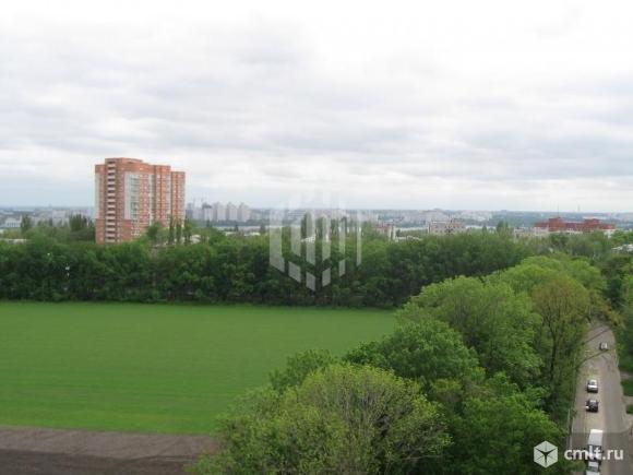 Березовая роща 24а воронеж. Березовая роща 44 воронеж. Березовая роща 24 1. Берёзовая роща, 24/1. Березовая роща 24 1.