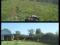 Покос (скос) травы ,стрижка газона в Воронеже. Фото 9.