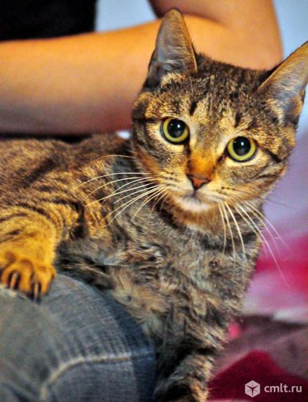 Великолепная Санса Старк ищет свое Королевство. Фото 1.