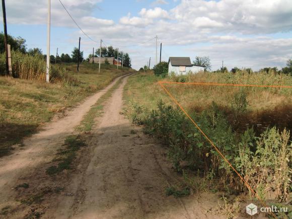 Погода в гвоздевке омская обл на месяц. Гвоздевка Воронежская область. Русская Гвоздевка Воронежская область. Русская Гвоздевка почва. Новая Гвоздевка.