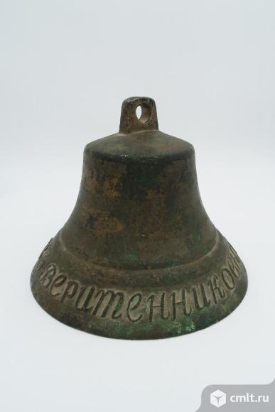 Колокольчик поддужный. Фото 1.