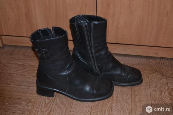 Полусапожки женские. Фото 1.