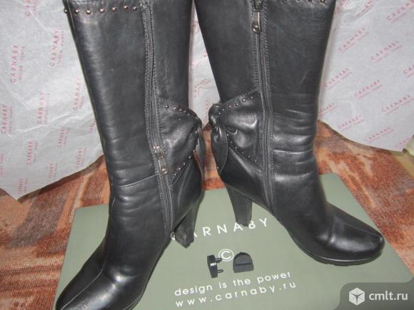 Сапоги зимние женские CARNABY. Фото 1.