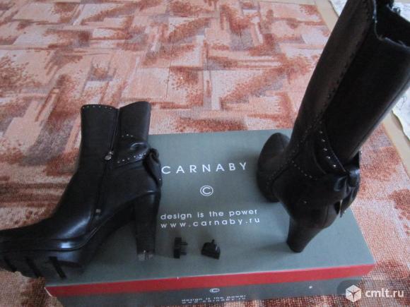 Сапоги зимние женские CARNABY. Фото 3.