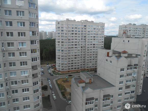 Корона ул владимира невского 25 5 фото