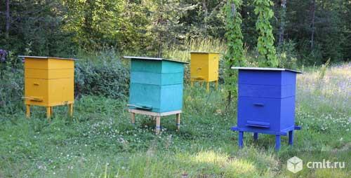 Готовые ульи с пчёл семьями и без. Фото 1.