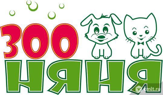 Зооняня. Фото 1.