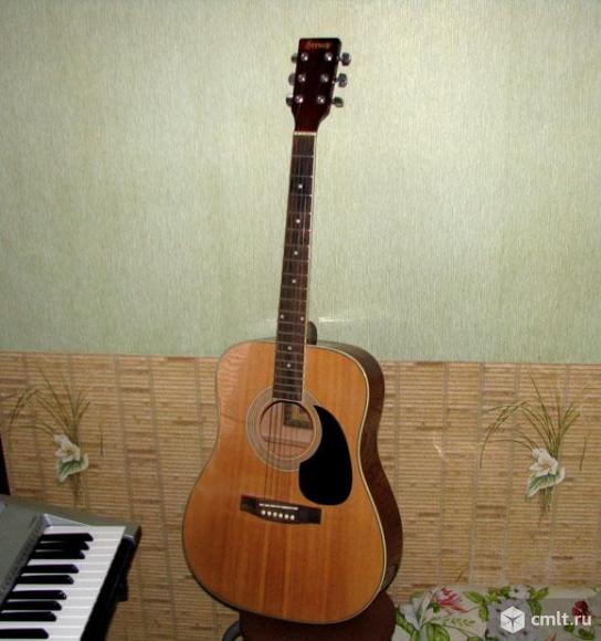 Акустическая гитара Freeway. Фото 1.