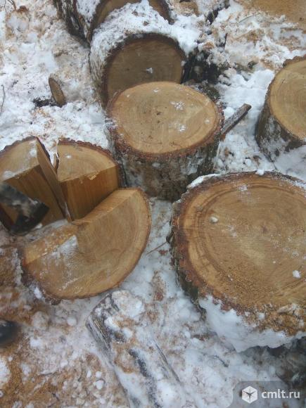 Дрова дубовые. Фото 1.