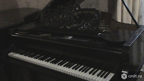 Рояль ''Gustav Fiedler'' Leipzig. Фото 5.