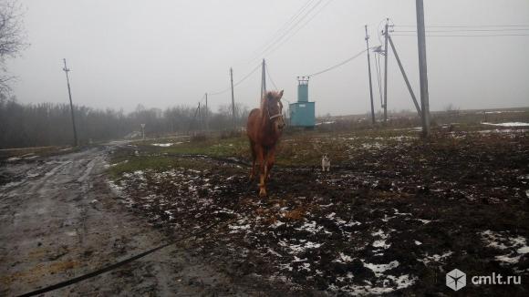 Продам. Фото 3.