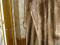 Шуба женская, из бобра стриженого, р. 50/170, длинная, цв. Фото 1.