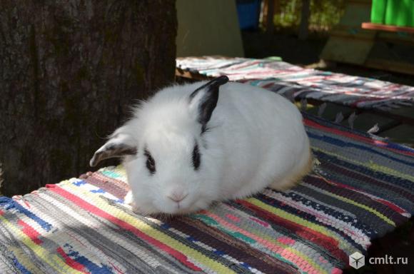 Экскурсия "Масленица в Бирюльках" (детская игровая программа + экскурсия). Фото 7.