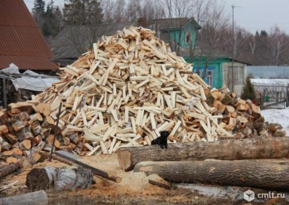 Дрова Дубовые Сухостой. Фото 1.