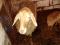 Продам овца матку с ягненком. Фото 1.