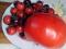 Семена томатов. Фото 1.