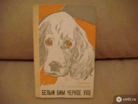 Белый бим черное ухо рисунок детский