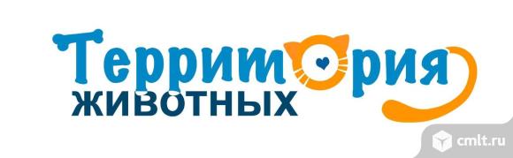 Интернет Магазин Товаров Для Животных Воронеж