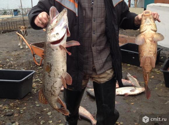 Сельский туризм с баней на дровах на пруду. Фото 1.