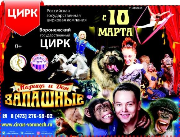 Цирк запашных в самаре до какого числа. Страшная сила братьев запашных. Цирк воронеж афиша. Цирк запашных в самаре до какого числа. Братья запашные цирк.