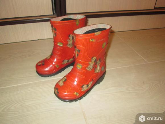 Резиновые сапоги. Фото 1.