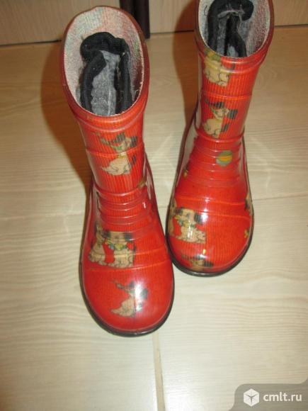Резиновые сапоги. Фото 4.
