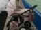Детская коляска трансформер. Фото 1.