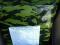 Армейский сухой паек, ИРП, рацион питания на сутки. Фото 3.
