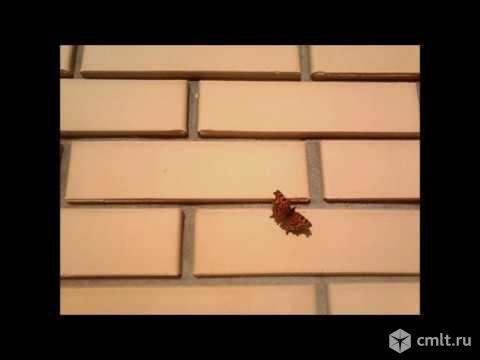 Каменщик. Фото 1.