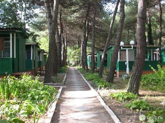Автобусом к морю. База отдыха «Зеленый Гай». Заезд с 06.07 по 15.07 c. Фото 1.