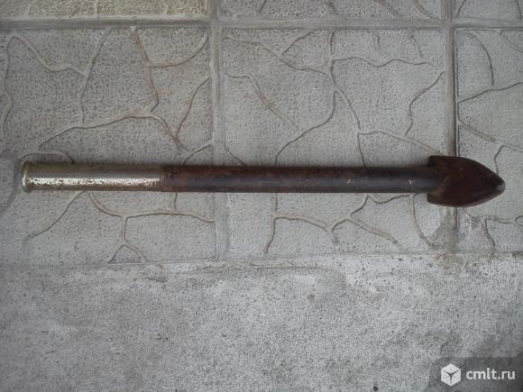 Лапа сапожная. Фото 3.