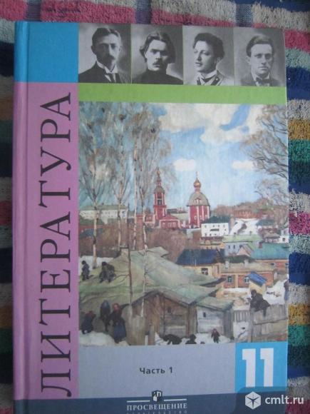 Литература - 11 кл - 1 часть. Фото 1.