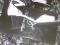 Босоножки женские р39 кожанные пр-во Италия. Фото 2.