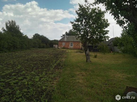 Погода в гвоздевке омская обл на месяц. СНТ русская Гвоздевка. Село Гвоздевка Омская область. Панская Гвоздевка Рамонский район магазины. Русская Гвоздевка источник.