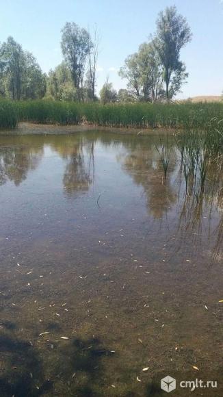 Погода в красных липках. Нижние Липки Волгоградская область.