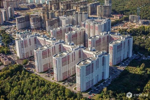 Ботанический сад воронеж олимпийский бул фото