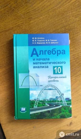 Алгебра 10 класс профильный уровень. Фото 1.