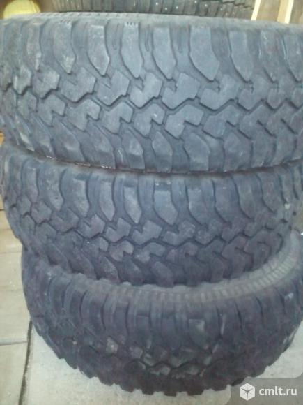 Резина на Ниву. Кордиант офф роуд 205/70/15 б.у.. Фото 1.
