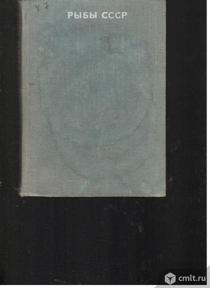В.Д.Лебедев. В.Д.Спановская. К.А.Савваитова. Л.И.Соколов.Е.А Цепкин. Рыбы СССР.. Фото 1.