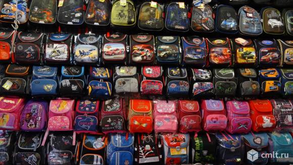 Рюкзаки школьные в ассортименте. Фото 6.